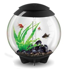 BIORB HALO ACQUARIO 60L GRIGIO