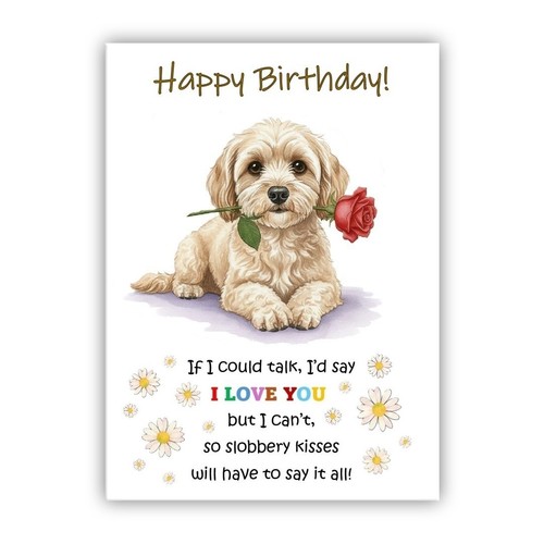 Maltipoo biglietto - maltipoo, –