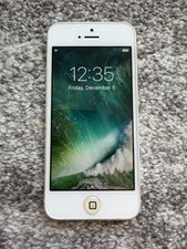 iPhone 5 16GB Argento Testato