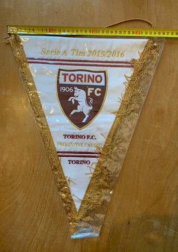 Torino frosinone calcio - torino,