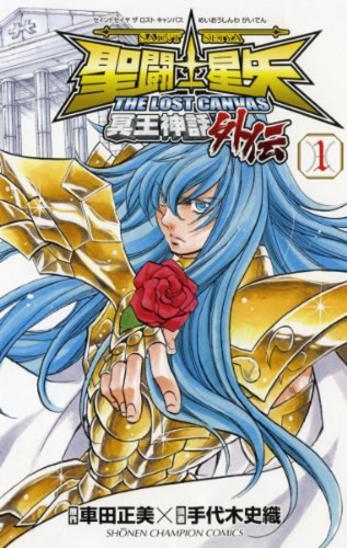Saint seiya lost - seiya, canvas