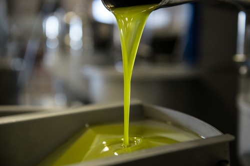 Olio extravergine oliva - olio,