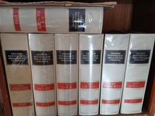 Grande dizionario della lingua