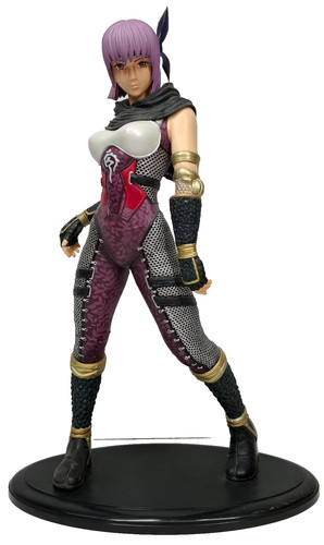 Ninja gaiden personaggio - gaiden,