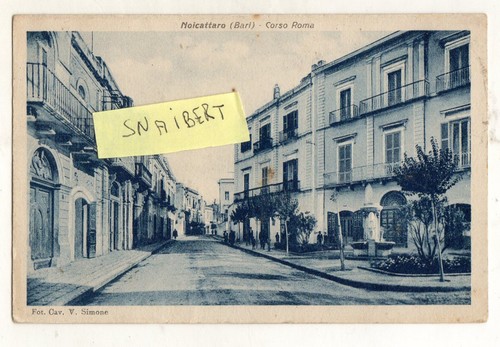 C000799 noicattaro corso - c000799,