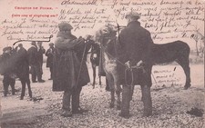 16* ANGOULEME  croquis de foire � anes         RL55,1220