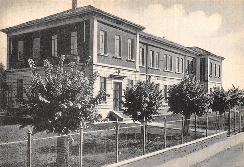 G3893 cartolina migliaro - g3893),