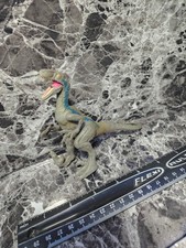 Velociraptor blue jurassic - velociraptor,