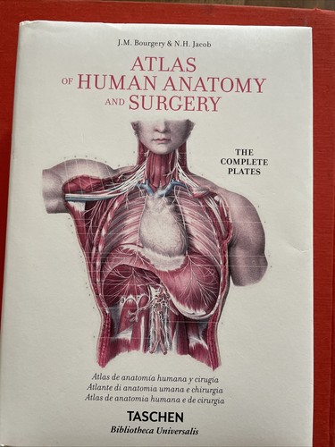 Libro anatomia atlas of - atlas,