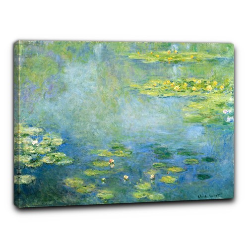 Niik quadro ninfee - le,