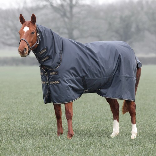 Tappeto cavallo affluenza - tappeto,