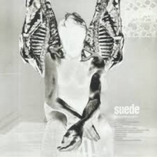 Suede antidepressants vinile - suede,