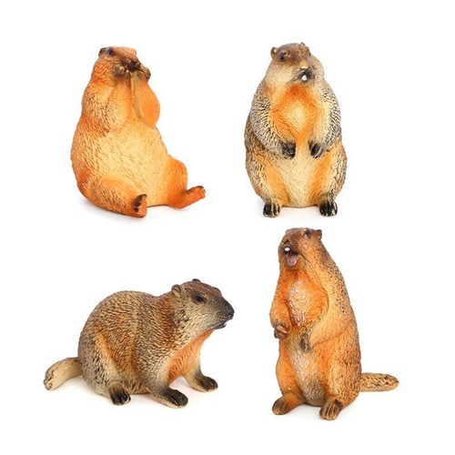 Marmotta giocattolo - , da
