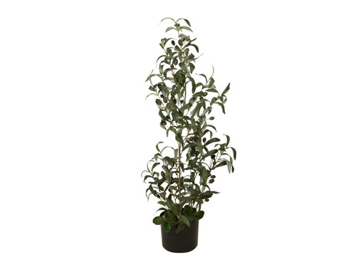 Albero olivo artificiale - albero,