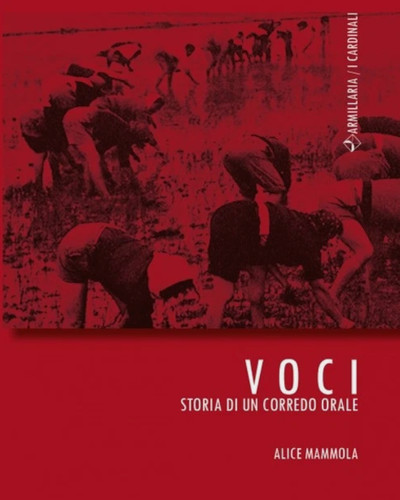 Voci storia un corredo - voci.,