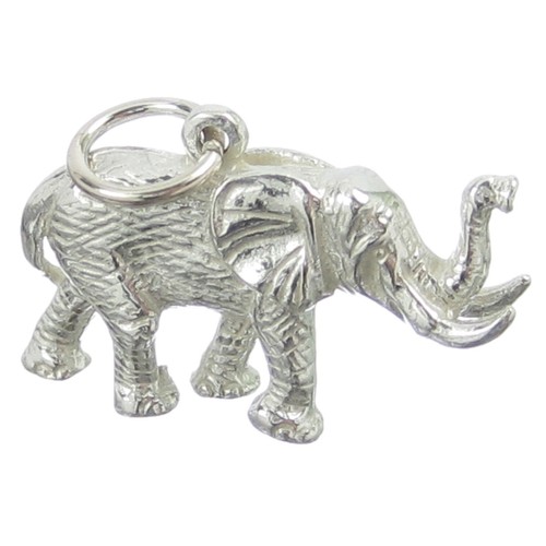 Ciondolo argento sterling - in,