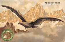 C7531) 7 REGGIMENTO ALPINI