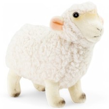 Pecora Carl Dick bianca