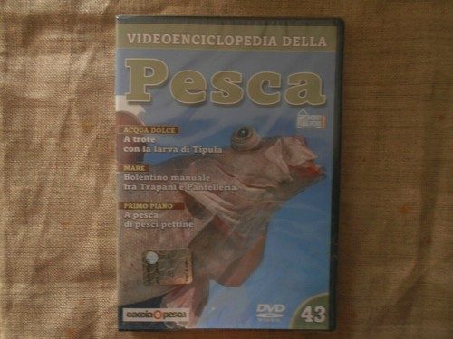 Videoenciclopedia della - -videoenciclopedia,