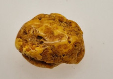 AMBRA  BIANCA BALTIC AMBER