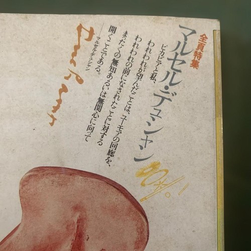 Marcel duchamp art book - duchamp,