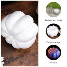  Formine Zucca Stampi