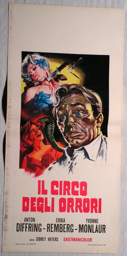 Locandina circo degli - il,