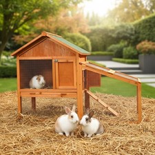 Conigliera conigliera per