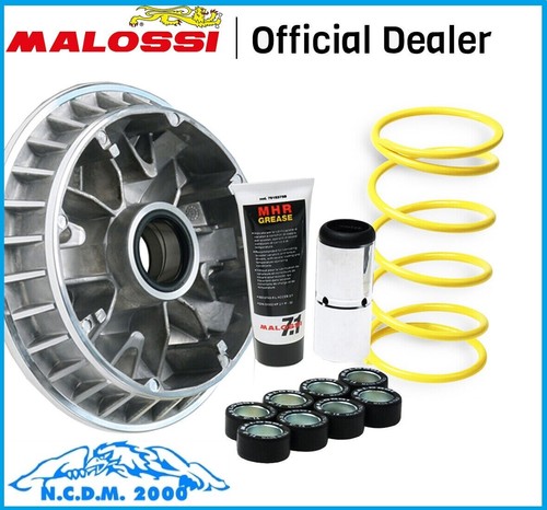 Variatore malossi multivar - variatore,