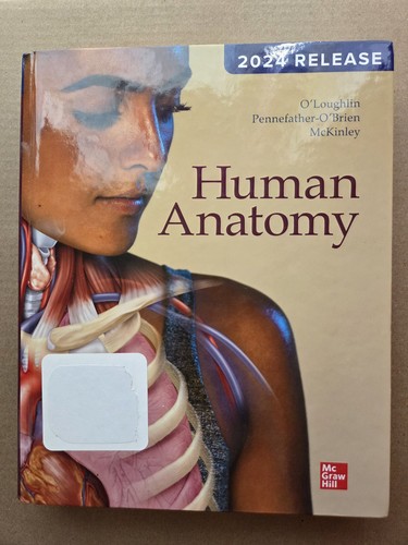 Human anatomy 2024 release - anatomy,