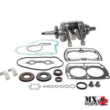 KIT REVISIONE MOTORE POLARIS