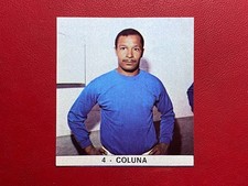 IL MONELLO CALCIATORI D'ORO