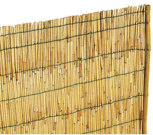 Arella bambu cannucciata - in,