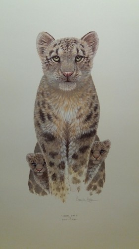 Cool cats warwick higgs - di,