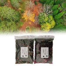 Diorama Spugna Epossidica per