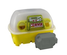 Incubatrice Uova 12 Automatica