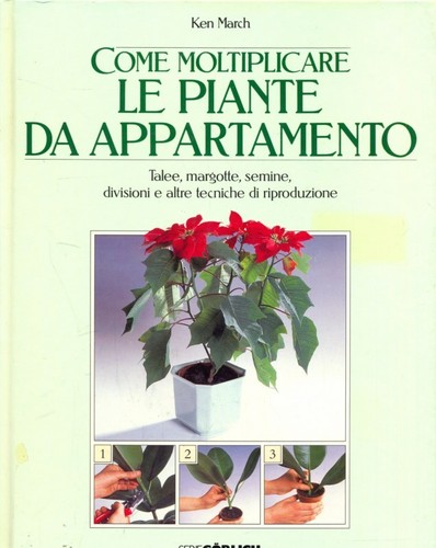 Come moltiplicare piante - come, le