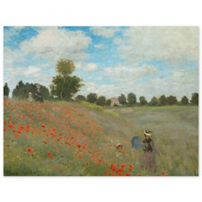 Claude Monet, campo di