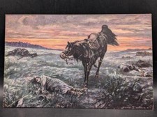 Cartolina postale posta