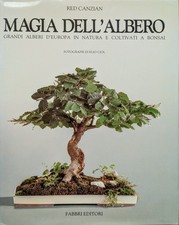 Red Canzian. Magia dell'albero: grandi alberi coltivati a Bonsai. Fabbri