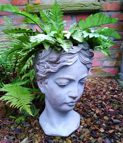 Grande giardino busto statua - busto,