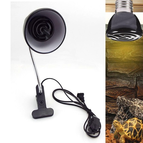 Kit lampada termica rettile