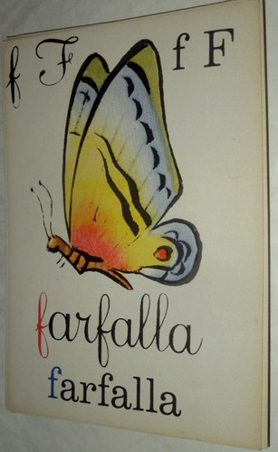 Tavola farfalla cm - f,