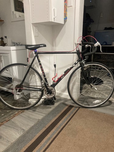 Fuji team racing road - team, bike