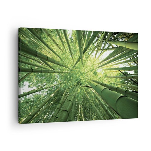 Quadro tela 70x50cm - tela, bambù