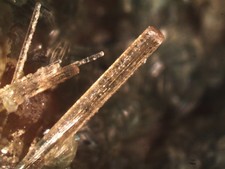 VESUVIANITE RARA MICROMONTA MINERALE D'ITALIA