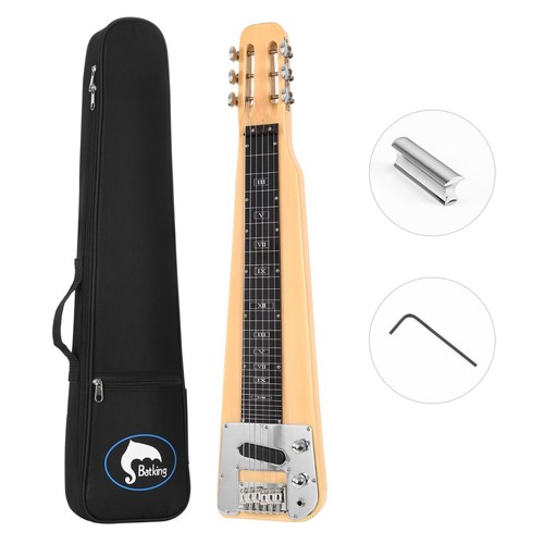 Electric lap steel - lap,