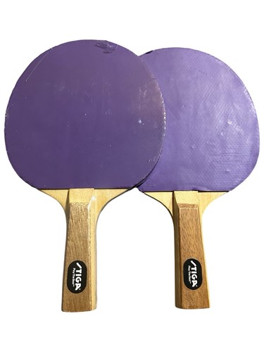 Paddle ping pong - 2,