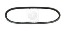 Cinghia poly per bedford - poly-v,