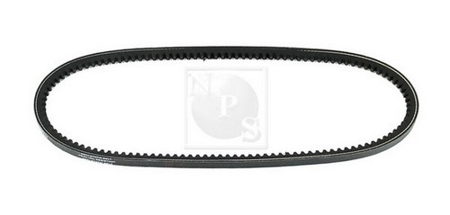 Cinghia poly per bedford - poly-v,